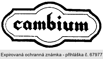 cambium