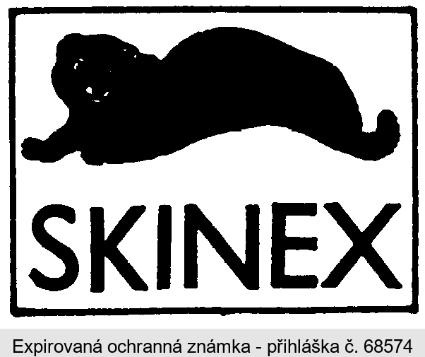 SKINEX