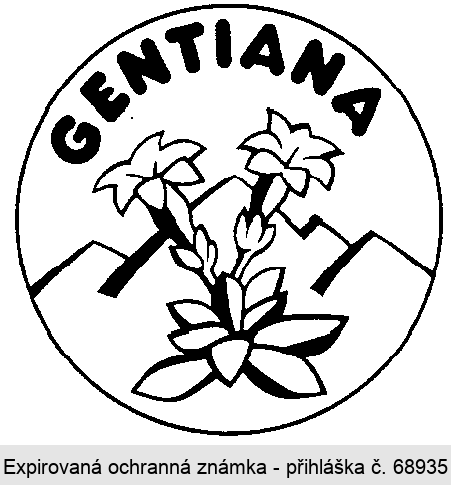 GENTIANA