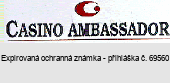 CASINO AMBASSADOR