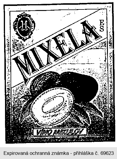 MIXELA ES mango