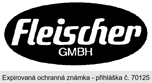 Fleischer GMBH