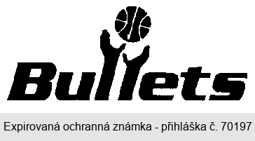 Bullets