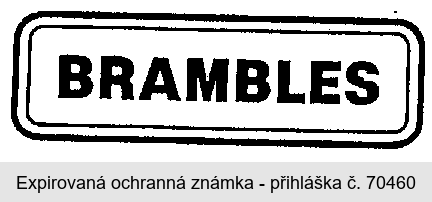 BRAMBLES