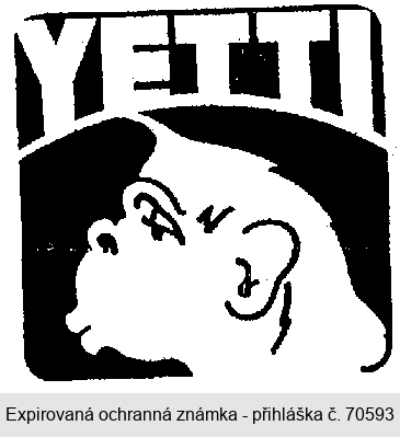 YETTI