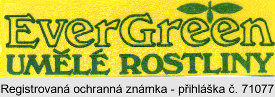 EverGreen UMĚLÉ ROSTLINY