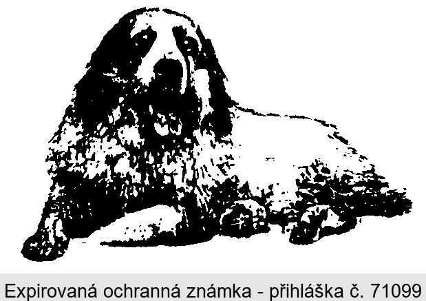 Ochranná známka