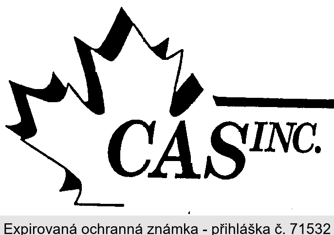 CAS INC.