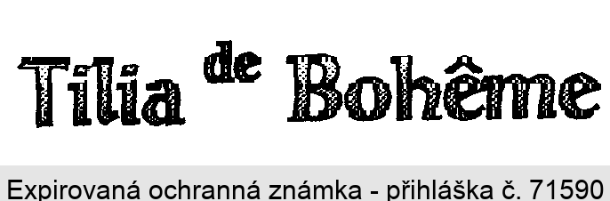 Tilia de Boheme