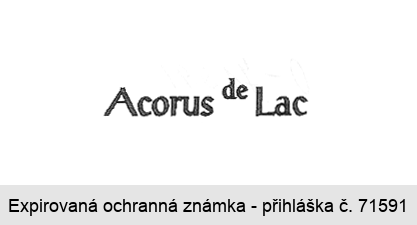 Acorus de Lac