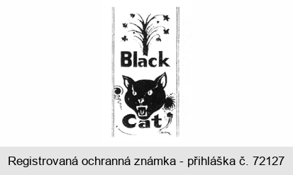 BLACK CAT