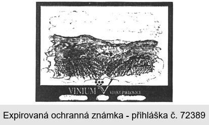 VINIUM V * negativ *