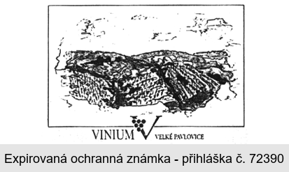 VINIUM V * pozitiv *