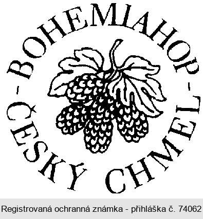 BOHEMIAHOP ČESKÝ CHMEL