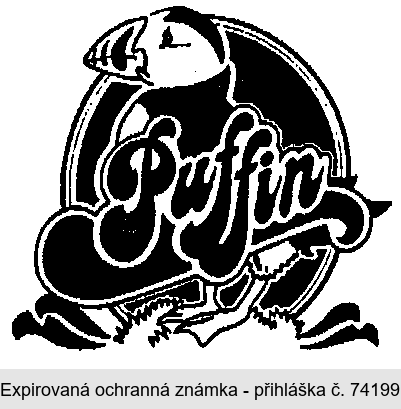Puffin