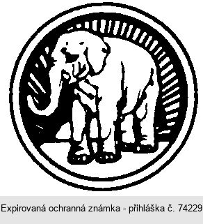 Ochranná známka