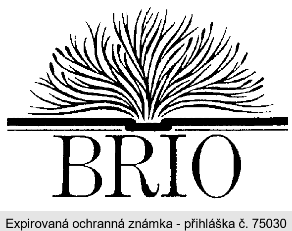 BRIO