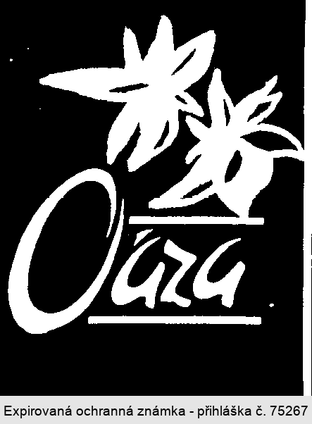 Oáza