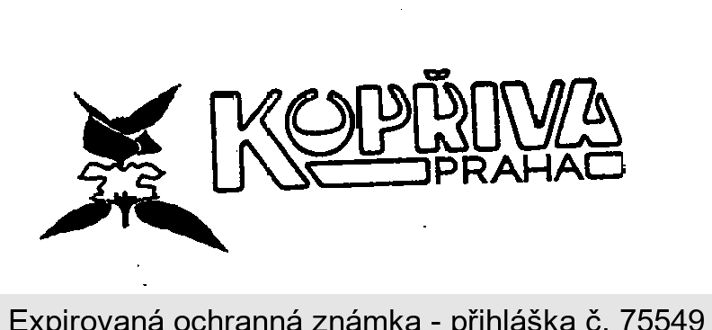 KOPŘIVA PRAHA