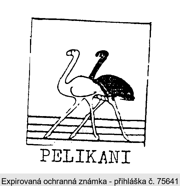 PELIKANI