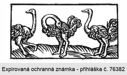 Ochranná známka