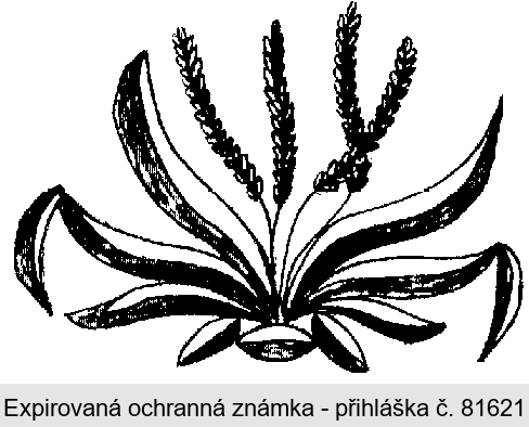 Ochranná známka