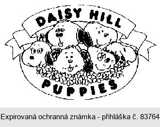 DAISY HILL PUPPIES