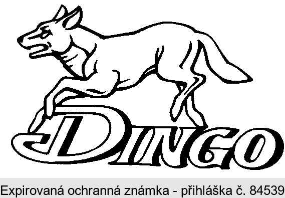 DINGO