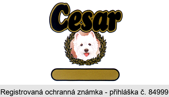 Cesar