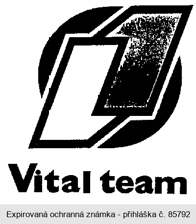 Vital team