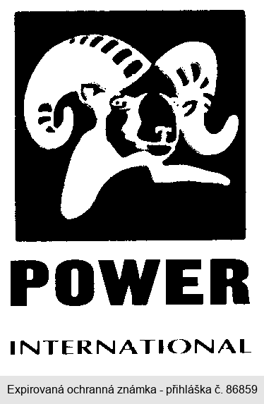 POWER INTERNATIONAL