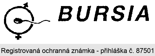 BURSIA