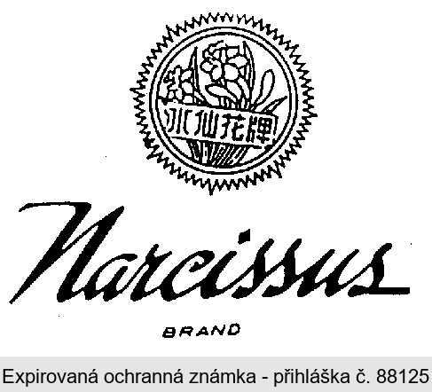 Narcissus BRAND