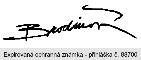 BRODINOVÁ