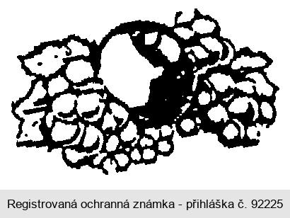Ochranná známka