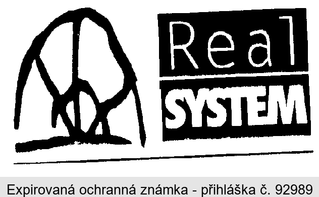 REAL SYSTEM