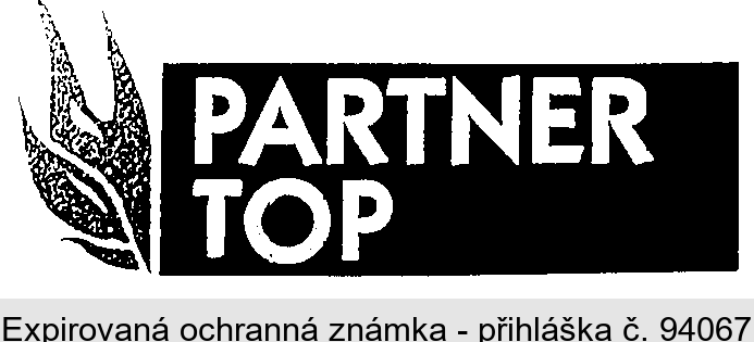 PARTNER TOP