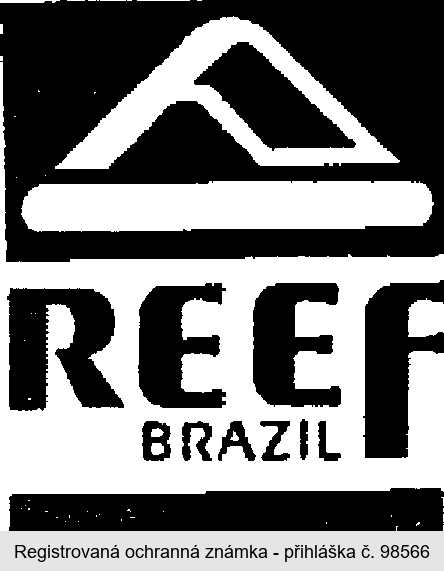 REEF BRAZIL