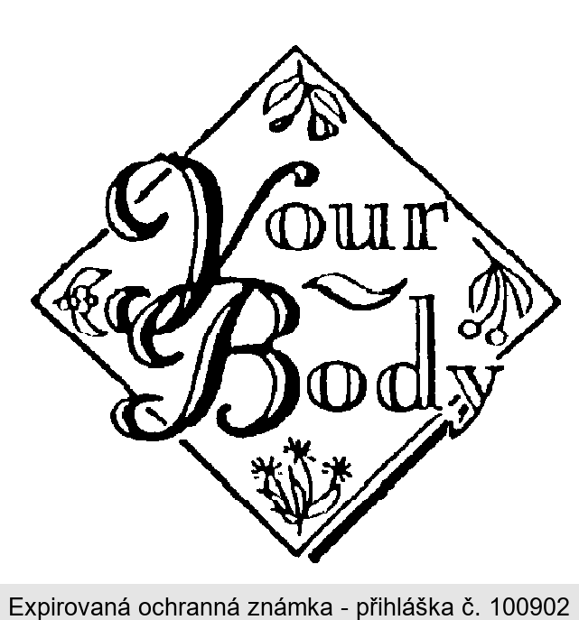 Your Body