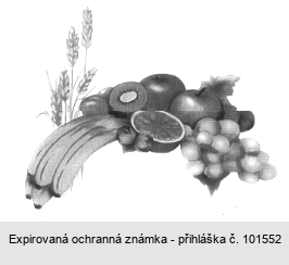 Ochranná známka