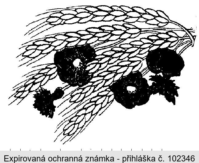 Ochranná známka