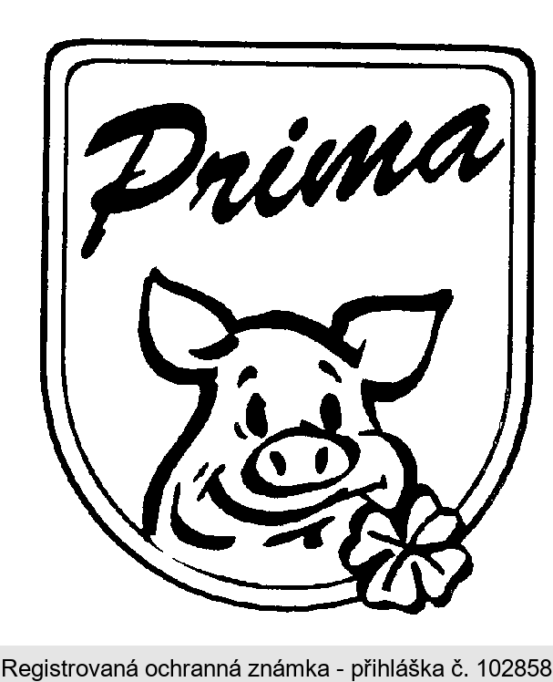 Prima