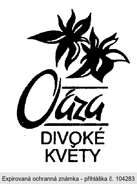Oáza DIVOKÉ KVĚTY