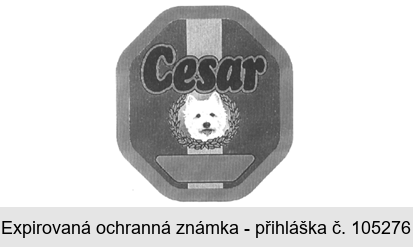 Cesar