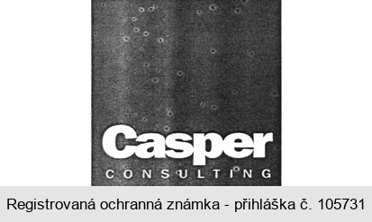 Casper consulting