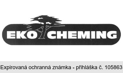 EKO CHEMING