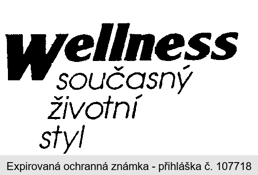 Wellness současný životní styl