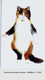 Ochranná známka
