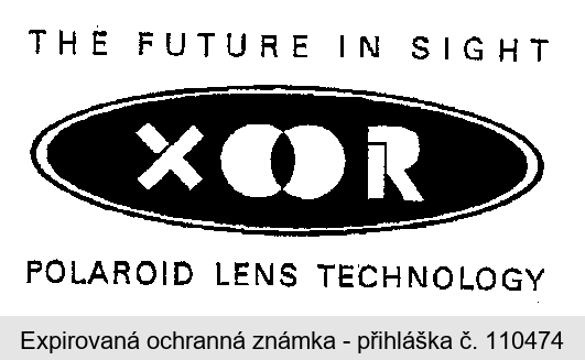 THE FUTURE IN SIGHT POLAROID LENS TECHNOLOGY