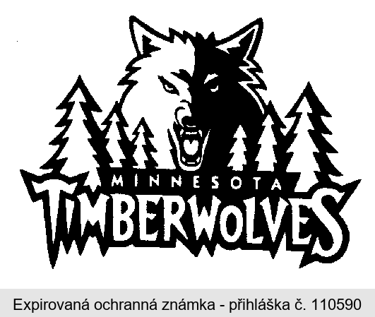 MINNESOTA TIMBERWOLVES